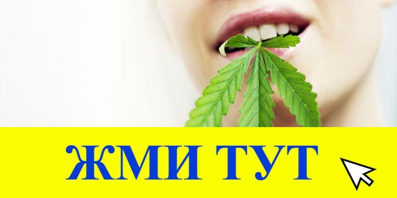 Купить наркотики в Сясьстрое